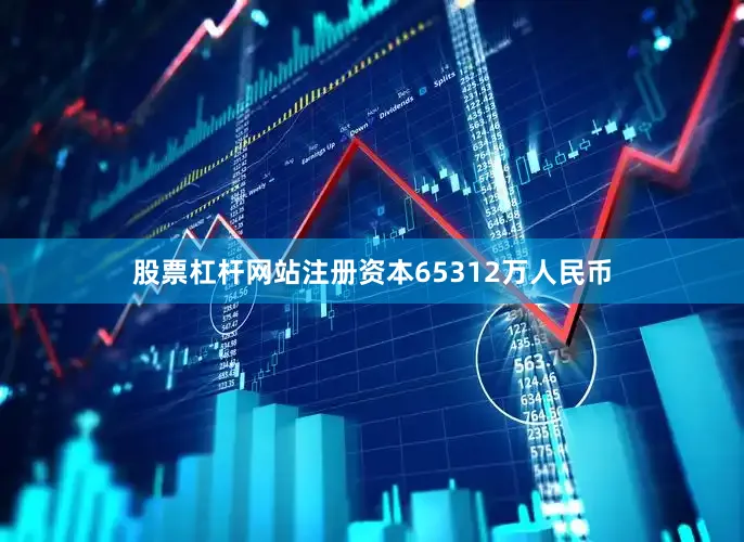 股票杠杆网站注册资本65312万人民币