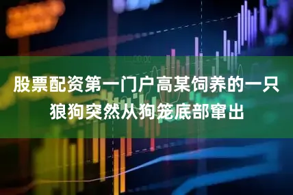 股票配资第一门户高某饲养的一只狼狗突然从狗笼底部窜出