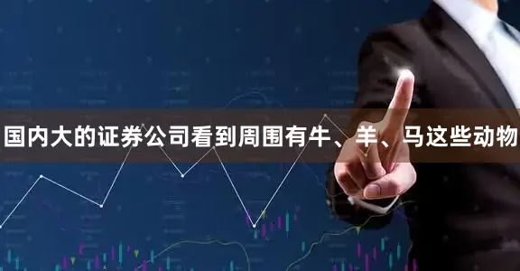 国内大的证券公司看到周围有牛、羊、马这些动物